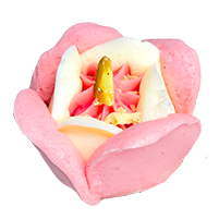 Rose Paakiza